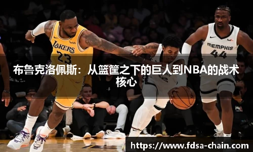 jn江南·体育登录入口